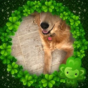 Meet your Posher, Janis